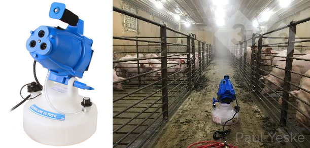 Ekspozycja loszek remontowych na Mycoplasma hyopneumoniae w aerozolu